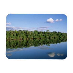 Mato Grosso State, Amazon, Brazil. Forested Magnet