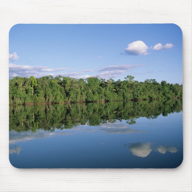 Mato Grosso State, Amazon, Brazil. Forested Mouse Pad (Front)