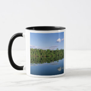 Mato Grosso State, Amazon, Brazil. Forested Mug