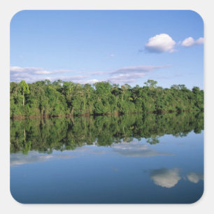 Mato Grosso State, Amazon, Brazil. Forested Square Sticker