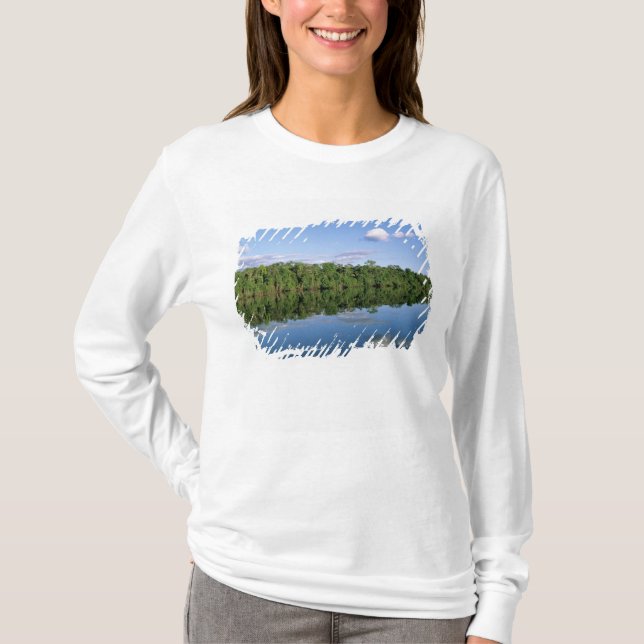 Mato Grosso State, Amazon, Brazil. Forested T-Shirt (Front)