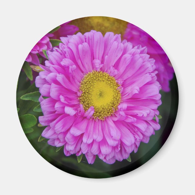 Matsumoto Flower magnet (Front)