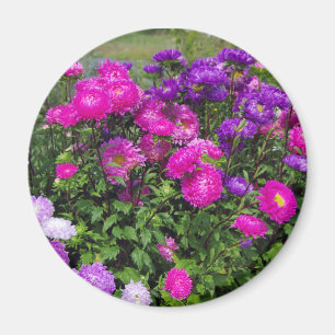 Matsumoto Flowers magnet