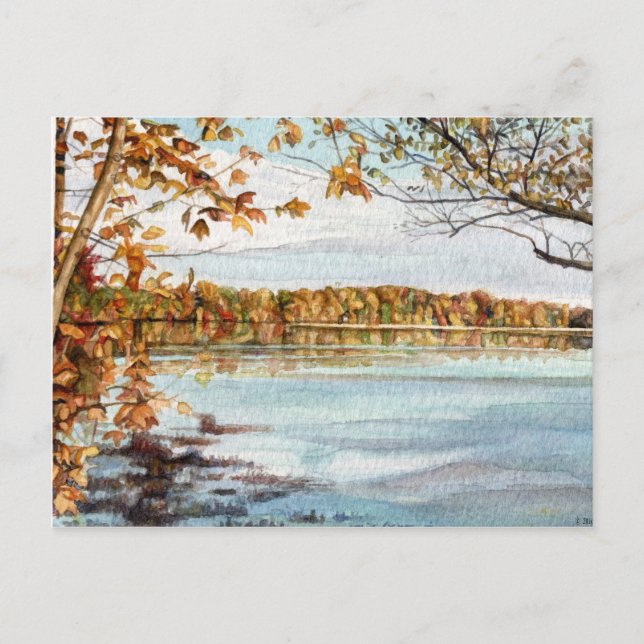 Mattaponi River Postcard (Front)