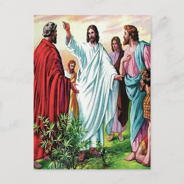 Matthew 10 Jesus Sends Out the Twelve postcard (Front)