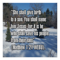 Matthew 1:21 WEBU