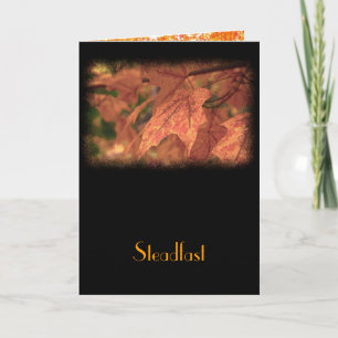 Matthew 24:35 Encouragement Card