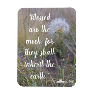 Matthew 5:5 magnet