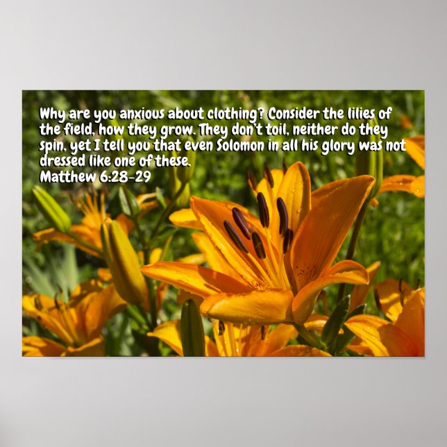 Matthew 6:28-29 poster (Front)