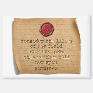 Matthew 6:28 Kitchen Magnet Home Accent
