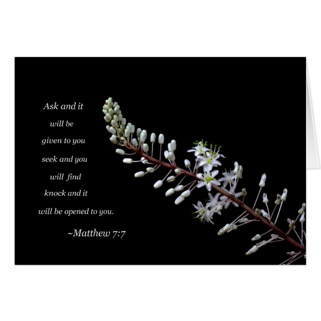 Matthew 7:7 (Front Horizontal)