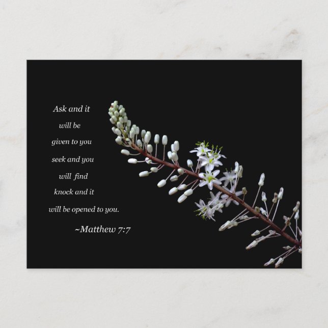 Matthew 7:7 white floral postcard (Front)