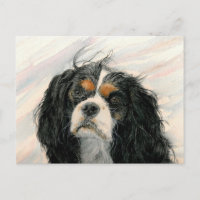 Mattie the King Charles Cavalier Spaniel