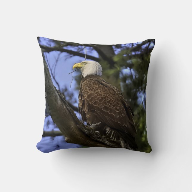 Mature Bald Eagle (2 Pics) Throw Pillow (Front)