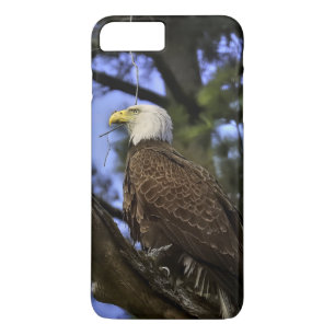 Mature Bald Eagle Case-Mate iPhone Case