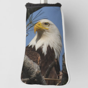 Mature Bald Eagle Close Up Head Golf Head Cover