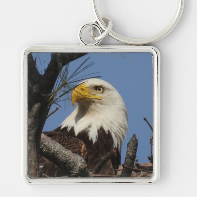 Mature Bald Eagle Close Up Head Key Ring (Front)