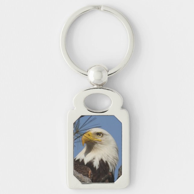 Mature Bald Eagle Close Up Head Key Ring (Front)