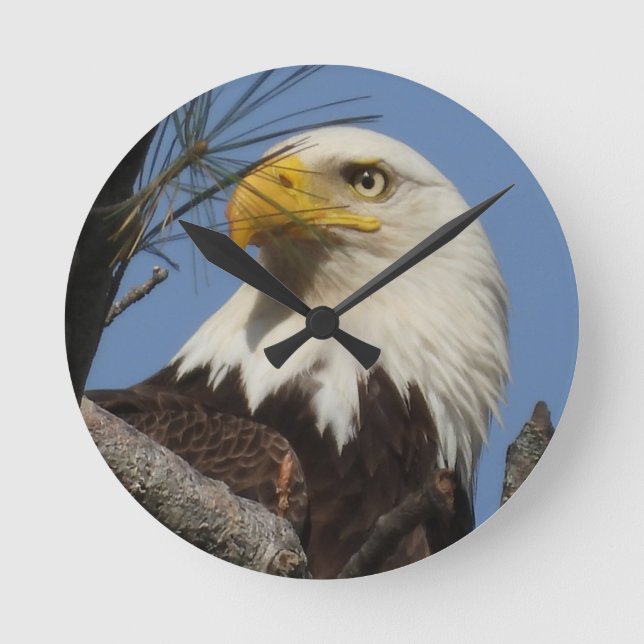 Mature Bald Eagle Close Up Head Round Clock (Front)