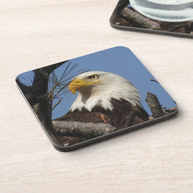 Mature Bald Eagle Head close up Coaster (Left Side)