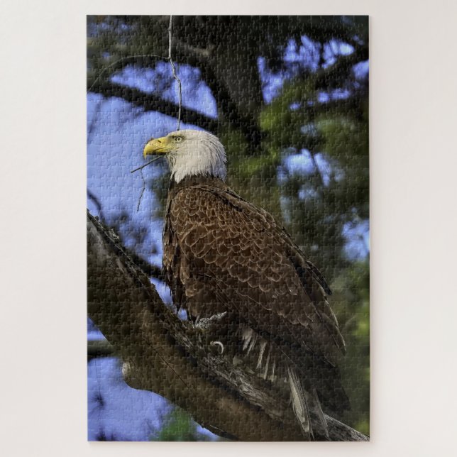 Mature Bald Eagle  Jigsaw Puzzle (Vertical)