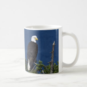 Mature Bald Eagle on Fir Tree Coffee Mug