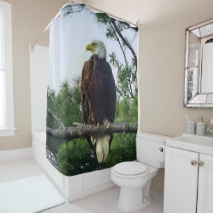 Mature Bald Eagle perched in Evergreen Tree Shower Curtain