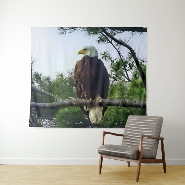 Mature Bald Eagle Perched in Tree Tapestry (In Situ (Horizontal))
