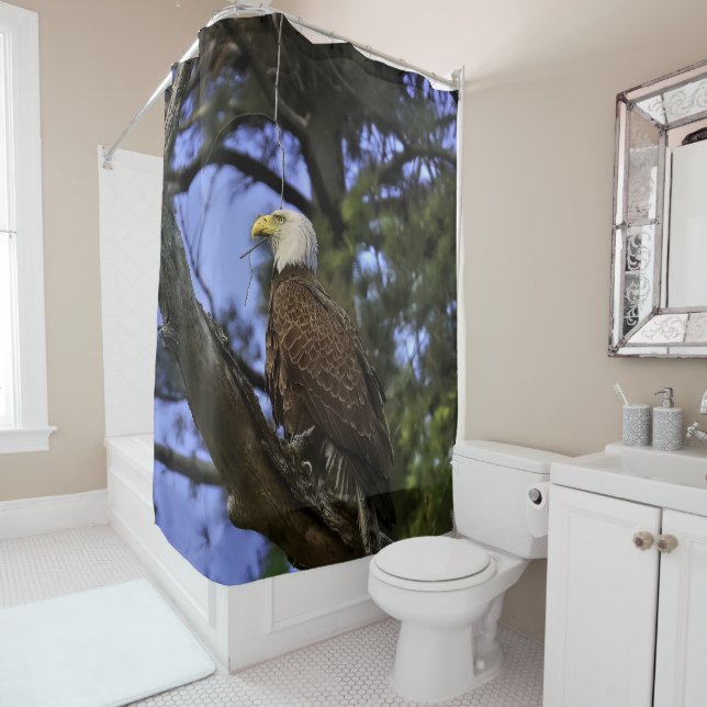 Mature Bald Eagle Shower Curtain (In Situ)