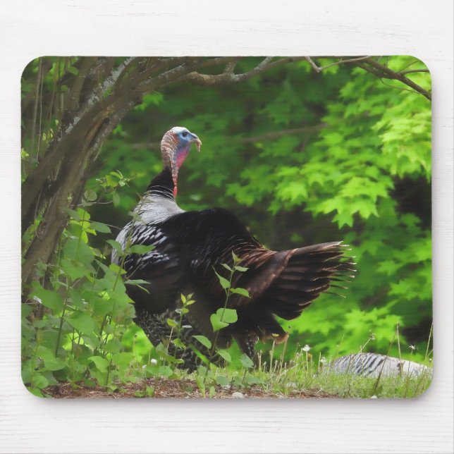Mature Male Wild Turkey  Mouse Pad (Front)