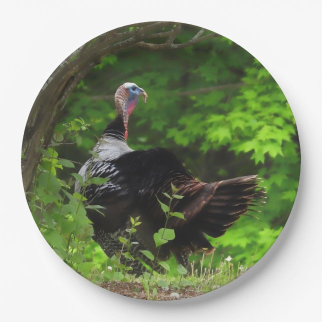 Mature Male Wild Turkey -Thanksgiving Paper Plate (Front)
