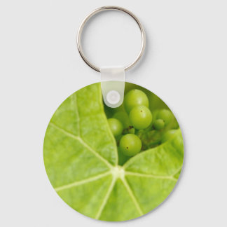 Maturing grapes key ring
