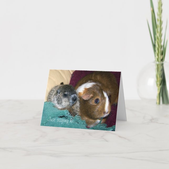 Maude and Wink Note Card (Front)