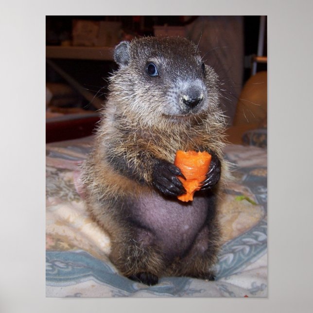 Maude Poster 1 (Front)