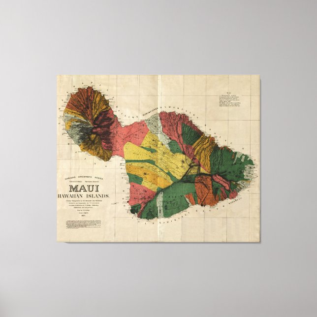 Maui, 1885, Vintage Antiquarian Hawaii Map Canvas Print (Front)