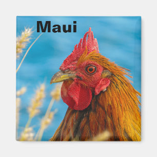 Maui Chicken Magnet