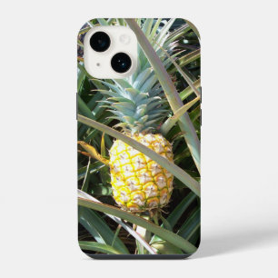 Maui Gold Hawaii Pineapple iPhone 14 Case