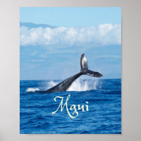 Maui Hawaii Ocean Whale Tail