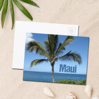 Maui Hawaii Palm Tree Scenic