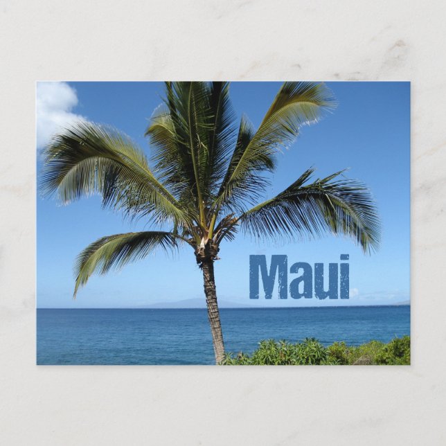 Maui Hawaii Palm Tree Scenic Postcard (Front)