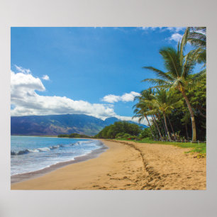 Maui, Hawaii Poster