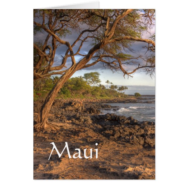 Maui ocean view (Front)