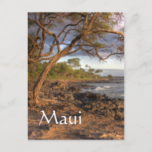 Maui ocean view postcard
