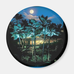 Maui Perfect Magnet