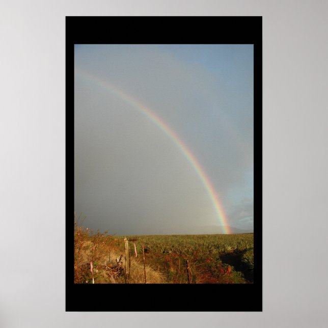 maui rainbow poster (Front)