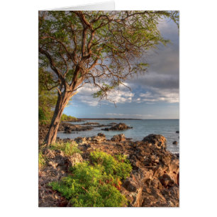 Maui shoreline