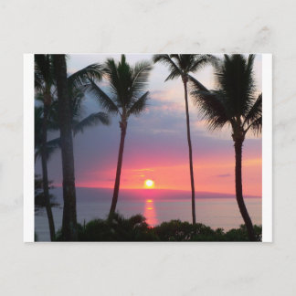 Maui Sunset!.JPG Postcard