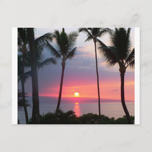 Maui Sunset!.JPG Postcard (Front)