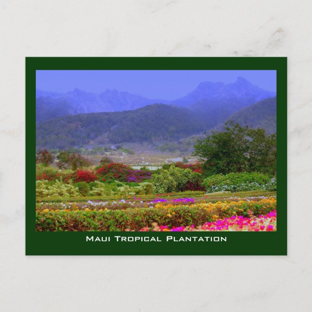 Maui Tropical Plantation West Maui Mountains Postcard (Front)
