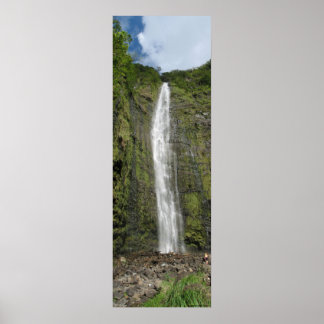 Maui Waterfall - Road to Hana 2008 Poster